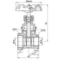 brass gate valve with reduce bore